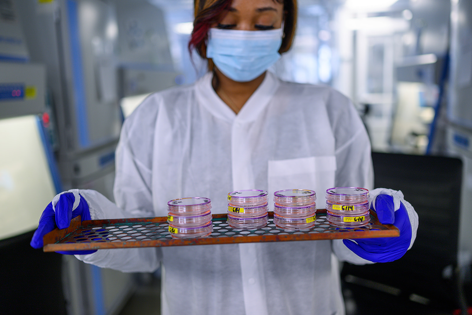 HeartWorks lab technician holding dishes of bioengineered cardiac cells.