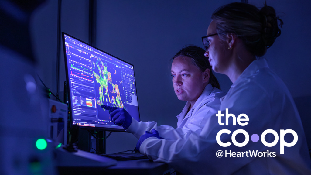 Lab tech reviewing scans of cardiac tissue