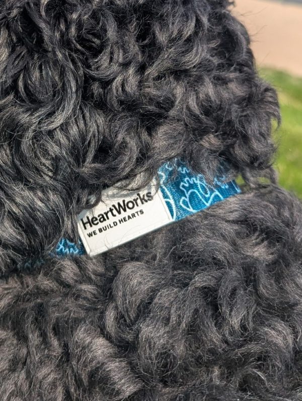 Dog Collars - Image 5