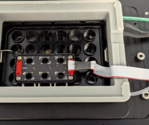By recording these changes on camera, our scientists can see the heart cells beating in real time. The fluctuations in fluorescence mirror the electrical activity of the cells, allowing for detailed analysis of how the tissue contracts