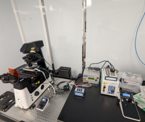 By recording these changes on camera, our scientists can see the heart cells beating in real time