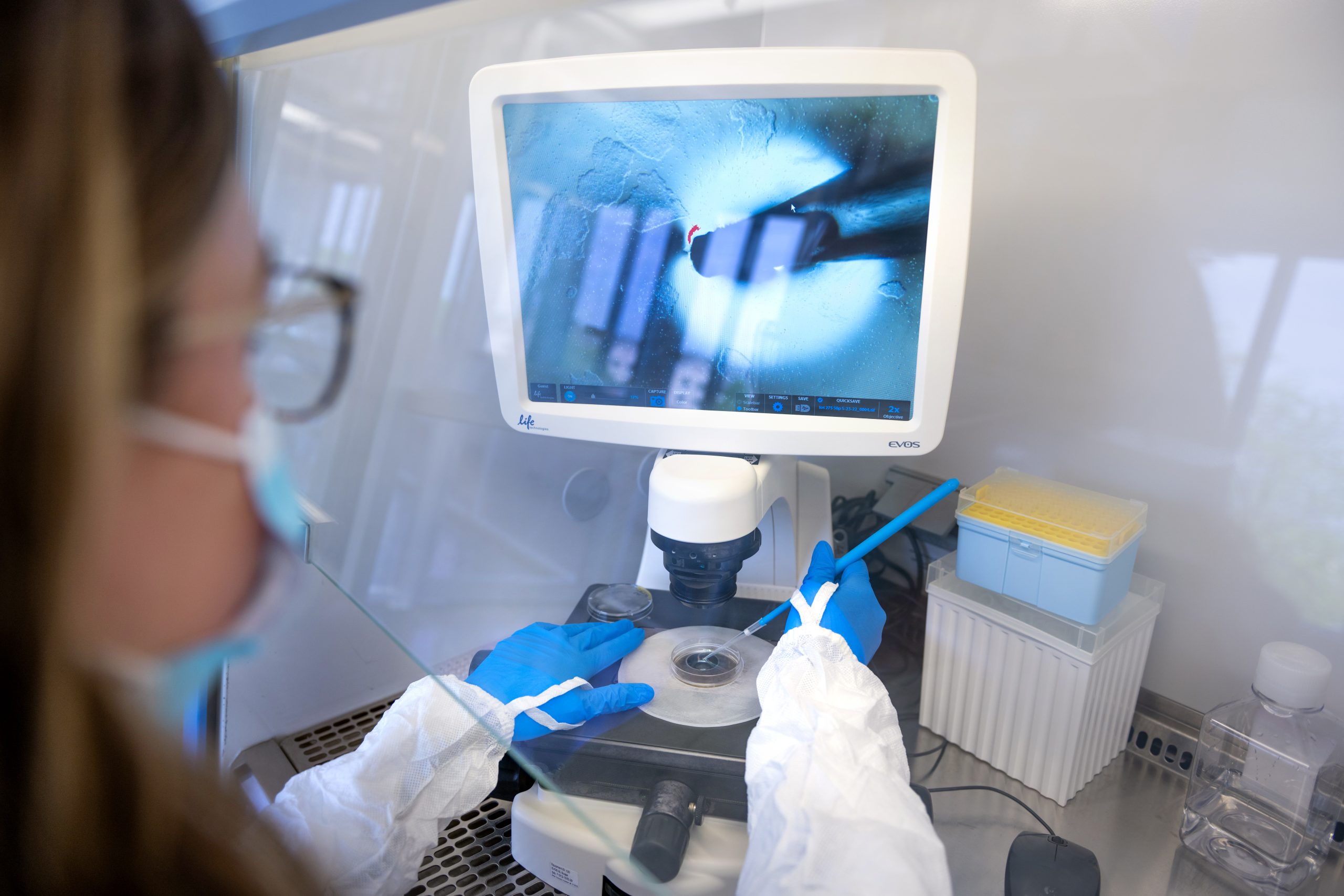 HeartWorks Lab tech viewing cells through microscope