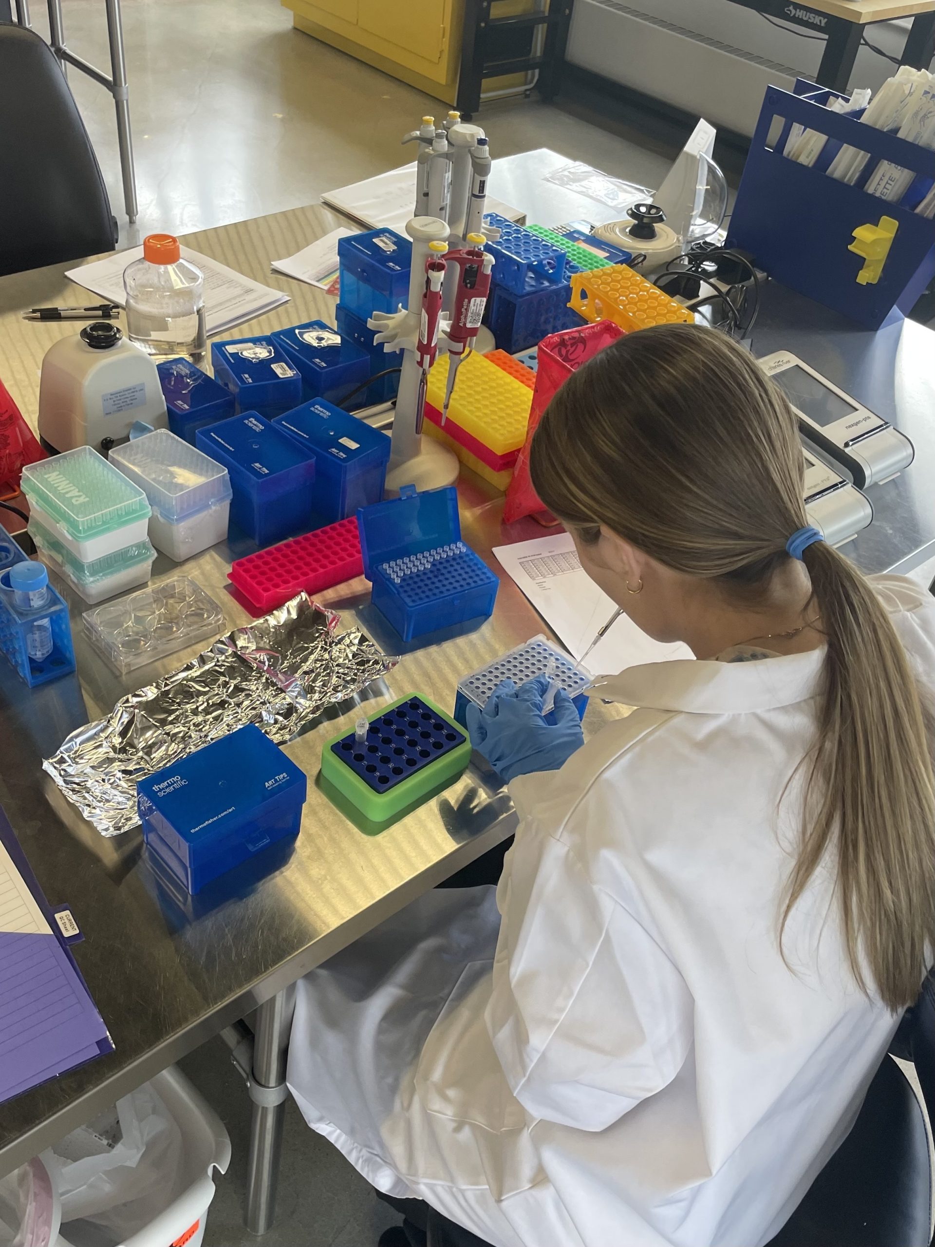 Alexandra R&D