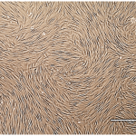 Microscope image of fibroblast production
